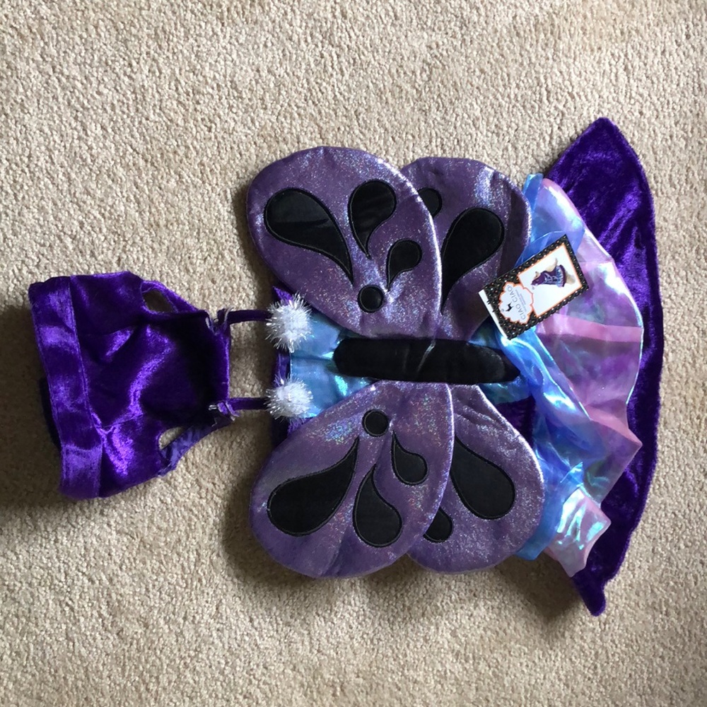 Dog Halloween costume